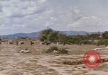 Standbild Tiger Division koreanische Soldaten Vietnam, 1968, aus Sekunde 40 historischem Filmmaterial Videoclip 65675075479