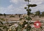 Standbild Tiger Division koreanische Soldaten Vietnam, 1968, aus Sekunde 51 historischem Filmmaterial Videoclip 65675075479