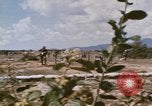 Standbild Tiger Division koreanische Soldaten Vietnam, 1968, aus Sekunde 54 historischem Filmmaterial Videoclip 65675075479