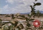Standbild Tiger Division koreanische Soldaten Vietnam, 1968, aus Sekunde 55 historischem Filmmaterial Videoclip 65675075479