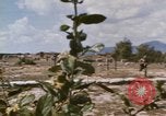 Standbild Tiger Division koreanische Soldaten Vietnam, 1968, aus Sekunde 56 historischem Filmmaterial Videoclip 65675075479