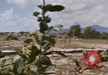 Standbild Tiger Division koreanische Soldaten Vietnam, 1968, aus Sekunde 58 historischem Filmmaterial Videoclip 65675075479