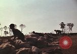 Immagine di Soldati montagnard Bu Gia Vietnam, 1963, secondo 11 filmato di repertorio 65675075481