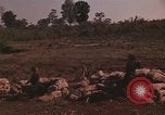 Immagine di Soldati montagnard Bu Gia Vietnam, 1963, secondo 16 filmato di repertorio 65675075481