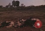 Immagine di Soldati montagnard Bu Gia Vietnam, 1963, secondo 17 filmato di repertorio 65675075481