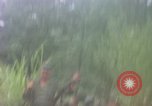 Image of Richard E Pegram Vietnam, 1964, second 14 stock footage video 65675075484