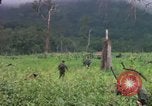 Image of Richard E Pegram Vietnam, 1964, second 3 stock footage video 65675075486