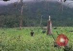 Image of Richard E Pegram Vietnam, 1964, second 4 stock footage video 65675075486