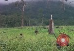 Image of Richard E Pegram Vietnam, 1964, second 5 stock footage video 65675075486