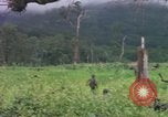 Image of Richard E Pegram Vietnam, 1964, second 8 stock footage video 65675075486