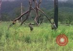 Image of Richard E Pegram Vietnam, 1964, second 11 stock footage video 65675075486
