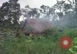 Image of Richard E Pegram Vietnam, 1964, second 18 stock footage video 65675075486