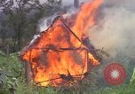 Image of Richard E Pegram Vietnam, 1964, second 31 stock footage video 65675075486