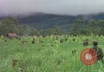 Image of Richard E Pegram Vietnam, 1964, second 37 stock footage video 65675075486