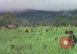 Image of Richard E Pegram Vietnam, 1964, second 38 stock footage video 65675075486