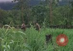 Image of Richard E Pegram Vietnam, 1964, second 52 stock footage video 65675075486