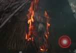 Image of Richard E Pegram Vietnam, 1964, second 54 stock footage video 65675075486