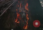 Image of Richard E Pegram Vietnam, 1964, second 55 stock footage video 65675075486