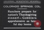 Standbild gobbler Puten Colorado Springs Colorado USA, 1930, aus Sekunde 1 historischem Filmmaterial Videoclip 65675075494