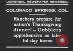 Standbild gobbler Puten Colorado Springs Colorado USA, 1930, aus Sekunde 3 historischem Filmmaterial Videoclip 65675075494