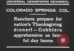 Standbild gobbler Puten Colorado Springs Colorado USA, 1930, aus Sekunde 6 historischem Filmmaterial Videoclip 65675075494