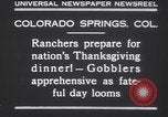 Standbild gobbler Puten Colorado Springs Colorado USA, 1930, aus Sekunde 7 historischem Filmmaterial Videoclip 65675075494