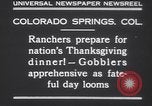 Standbild gobbler Puten Colorado Springs Colorado USA, 1930, aus Sekunde 9 historischem Filmmaterial Videoclip 65675075494