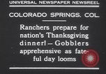 Standbild gobbler Puten Colorado Springs Colorado USA, 1930, aus Sekunde 10 historischem Filmmaterial Videoclip 65675075494