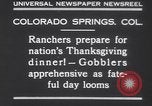 Standbild gobbler Puten Colorado Springs Colorado USA, 1930, aus Sekunde 12 historischem Filmmaterial Videoclip 65675075494