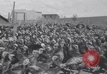 Standbild gobbler Puten Colorado Springs Colorado USA, 1930, aus Sekunde 13 historischem Filmmaterial Videoclip 65675075494