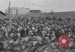 Standbild gobbler Puten Colorado Springs Colorado USA, 1930, aus Sekunde 22 historischem Filmmaterial Videoclip 65675075494