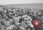 Standbild gobbler Puten Colorado Springs Colorado USA, 1930, aus Sekunde 29 historischem Filmmaterial Videoclip 65675075494