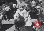 Standbild gobbler Puten Colorado Springs Colorado USA, 1930, aus Sekunde 40 historischem Filmmaterial Videoclip 65675075494