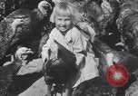 Standbild gobbler Puten Colorado Springs Colorado USA, 1930, aus Sekunde 42 historischem Filmmaterial Videoclip 65675075494