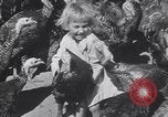 Standbild gobbler Puten Colorado Springs Colorado USA, 1930, aus Sekunde 43 historischem Filmmaterial Videoclip 65675075494