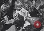 Standbild gobbler Puten Colorado Springs Colorado USA, 1930, aus Sekunde 45 historischem Filmmaterial Videoclip 65675075494