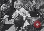 Standbild gobbler Puten Colorado Springs Colorado USA, 1930, aus Sekunde 46 historischem Filmmaterial Videoclip 65675075494