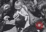 Standbild gobbler Puten Colorado Springs Colorado USA, 1930, aus Sekunde 47 historischem Filmmaterial Videoclip 65675075494
