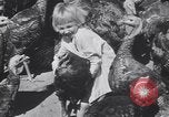 Standbild gobbler Puten Colorado Springs Colorado USA, 1930, aus Sekunde 48 historischem Filmmaterial Videoclip 65675075494