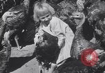 Standbild gobbler Puten Colorado Springs Colorado USA, 1930, aus Sekunde 49 historischem Filmmaterial Videoclip 65675075494