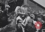 Standbild gobbler Puten Colorado Springs Colorado USA, 1930, aus Sekunde 54 historischem Filmmaterial Videoclip 65675075494
