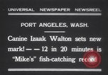 Standbild Hund Izaak Walton Port Angeles Washington USA, 1931, aus Sekunde 1 historischem Filmmaterial Videoclip 65675075503