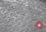 Standbild Hund Izaak Walton Port Angeles Washington USA, 1931, aus Sekunde 18 historischem Filmmaterial Videoclip 65675075503
