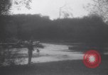 Standbild Hund Izaak Walton Port Angeles Washington USA, 1931, aus Sekunde 29 historischem Filmmaterial Videoclip 65675075503