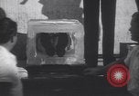 Standbild Zauberer Harry Moro Los Angeles California USA, 1931, aus Sekunde 25 historischem Filmmaterial Videoclip 65675075505