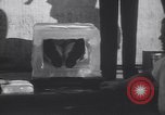 Standbild Zauberer Harry Moro Los Angeles California USA, 1931, aus Sekunde 27 historischem Filmmaterial Videoclip 65675075505