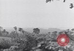 Image of United States soldiers Cherbourg Normandy France, 1944, second 59 stock footage video 65675075525