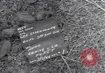 Image of Dwight Eisenhower France, 1944, second 3 stock footage video 65675075527