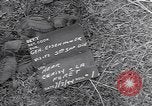 Image of Dwight Eisenhower France, 1944, second 4 stock footage video 65675075527