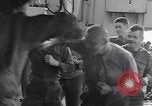 Image of United States soldiers United Kingdom, 1944, second 42 stock footage video 65675075528